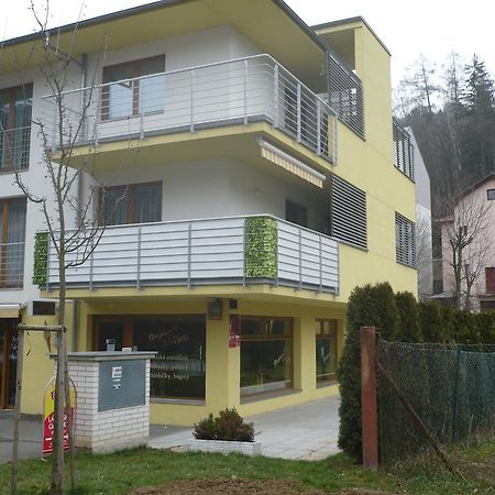 Apartman Anezka Luhačovice エクステリア 写真